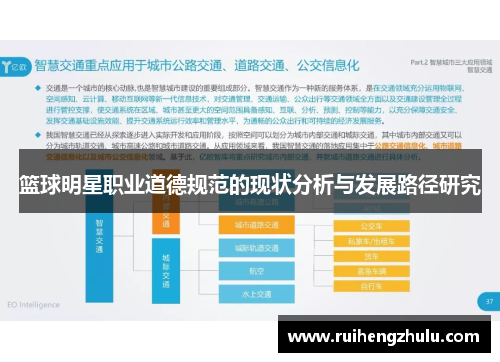 篮球明星职业道德规范的现状分析与发展路径研究